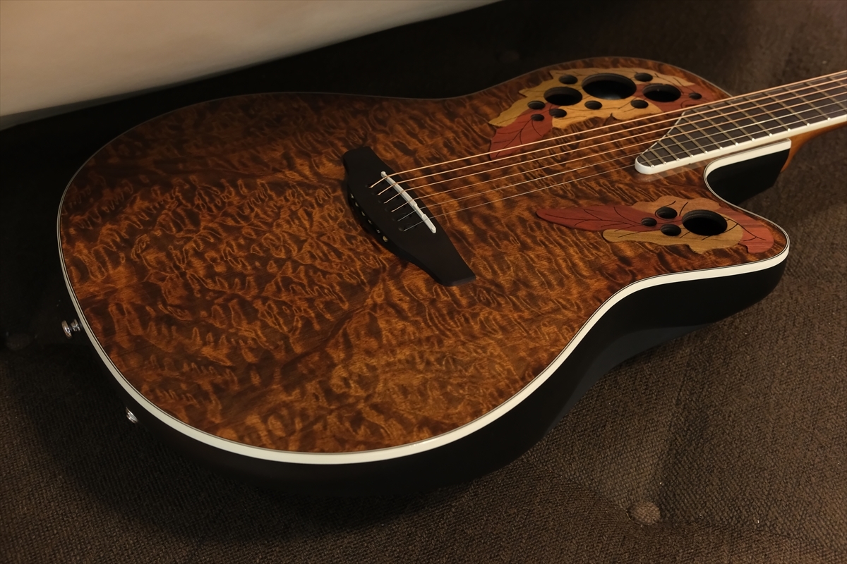Ovation CE48P-TGE-G（新品/送料無料）【楽器検索デジマート】