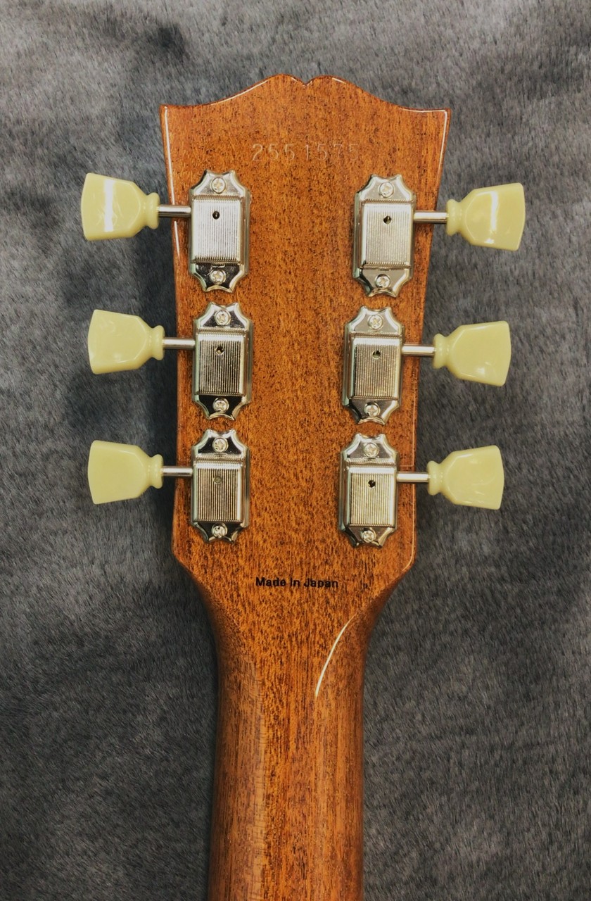 Tokai LS-101 GT (Gold Top)（新品/送料無料）【楽器検索デジマート】
