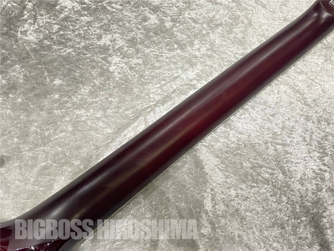 E-II VIPER FL (See Thru Black Cherry)（新品/送料無料）【楽器検索