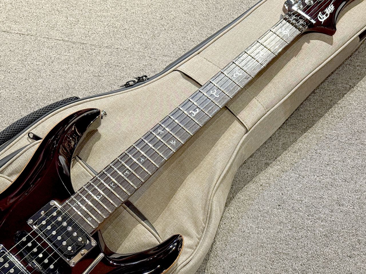 ギター G-LIFE DSG galaxy dark purple G-Life Guitars / DSG Life-Mahogany(Galaxy Purple Burst)