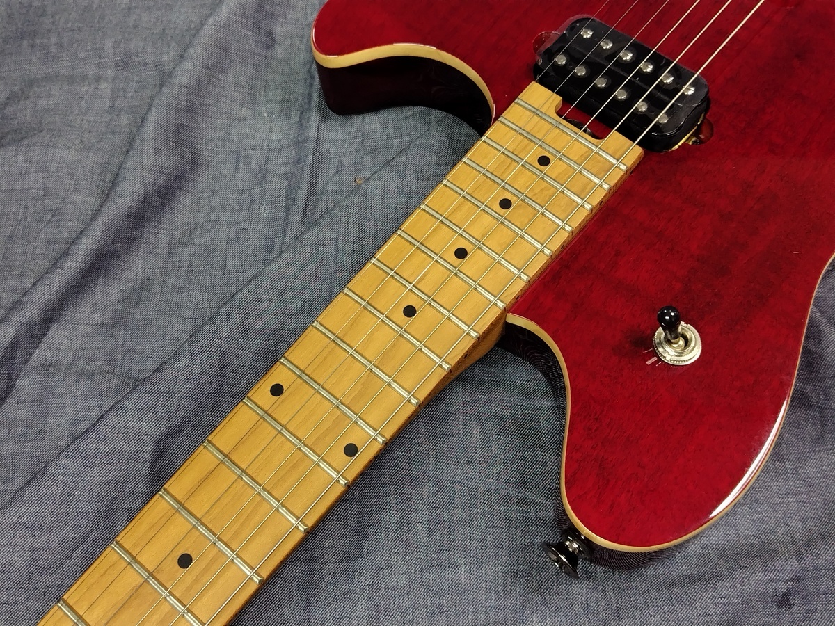 EVH WG STD BKD MPL WINE RED Wolfgang Standard Wine Red（新品特価