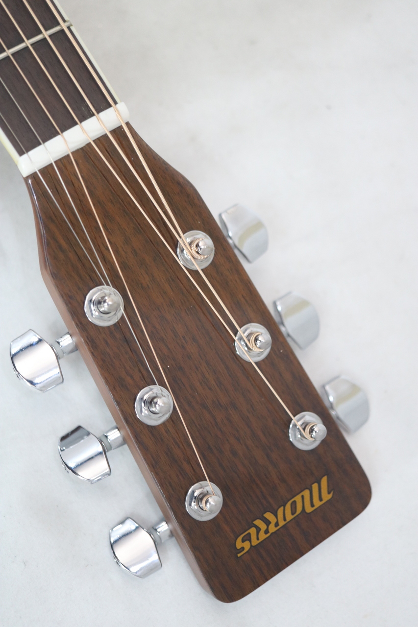 Morris MF-251KN（中古）【楽器検索デジマート】