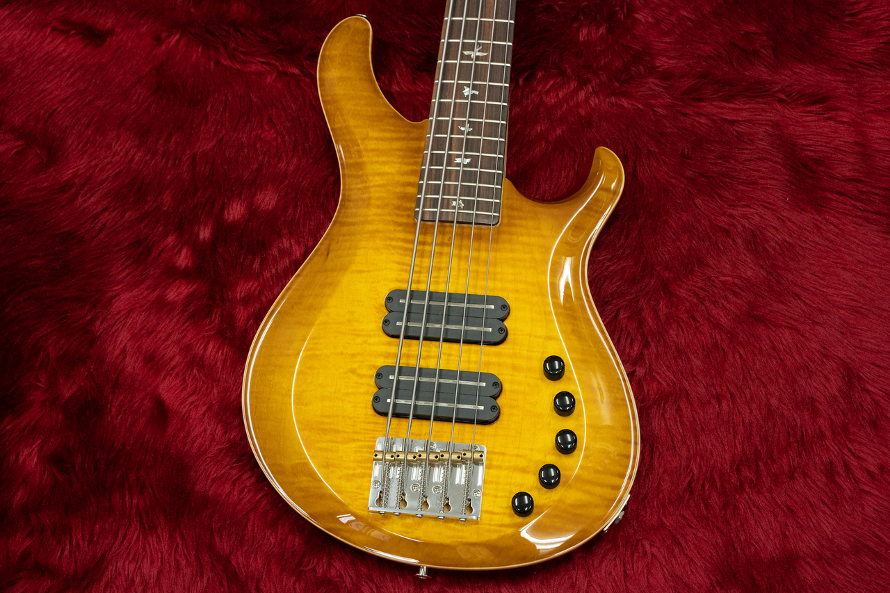 Paul Reed Smith(PRS) Grainger 5 strings bass MS #0335201 4.38kg