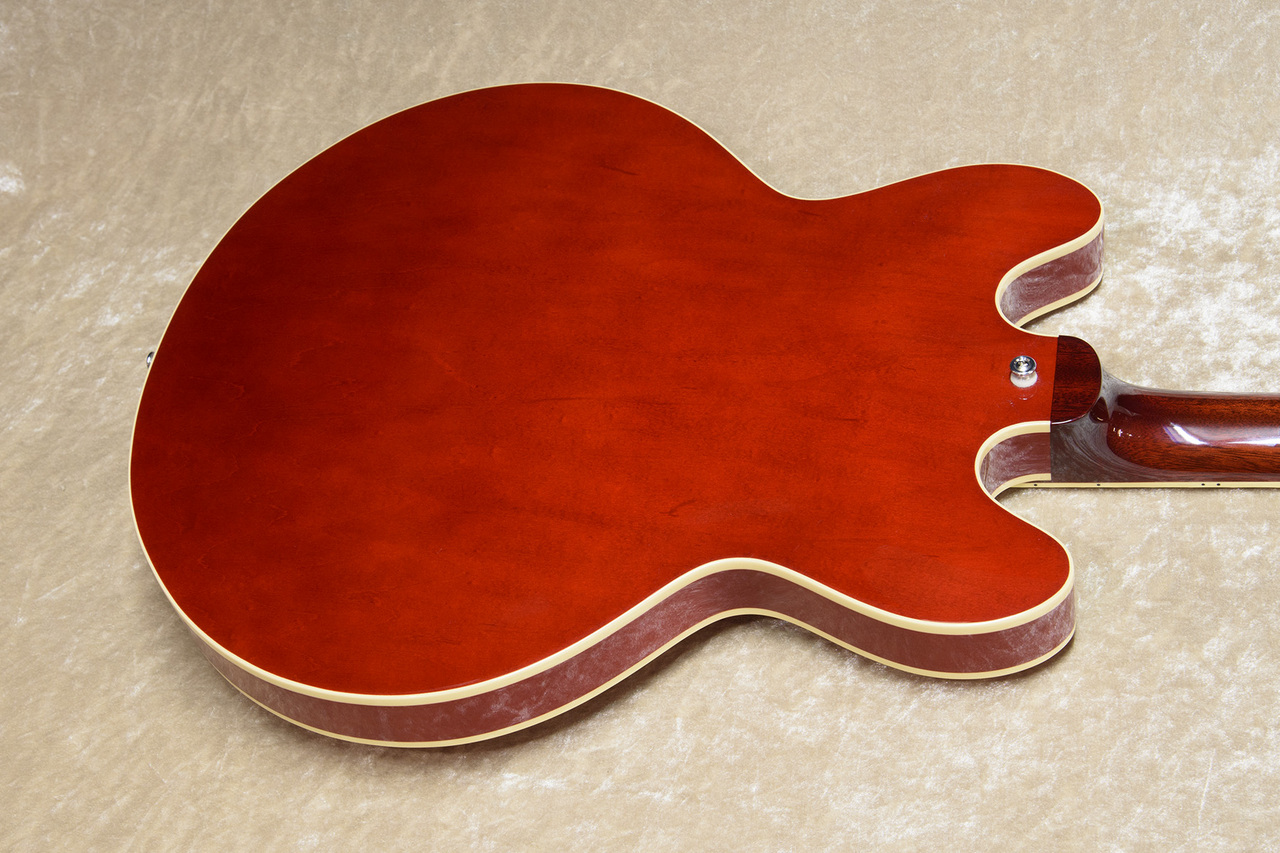 Archtop Tribute AT130MH（新品）【楽器検索デジマート】