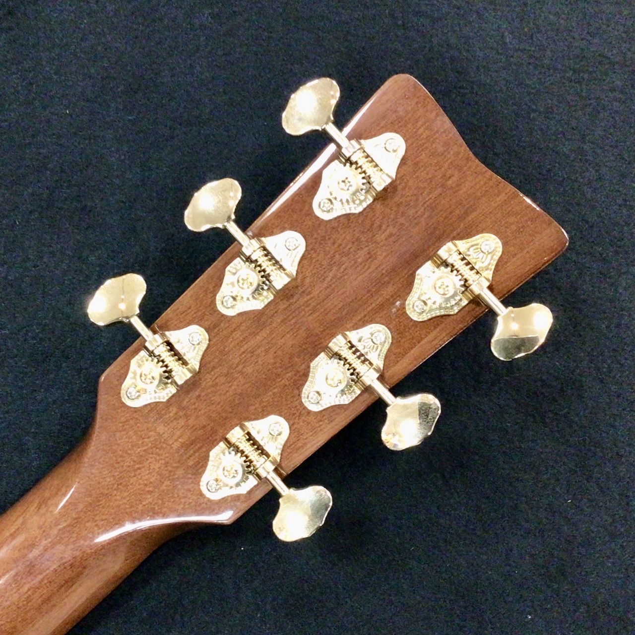 YAMAHA STORIA III 【マホガニー単板トップ/グロス塗装モデル】【PU