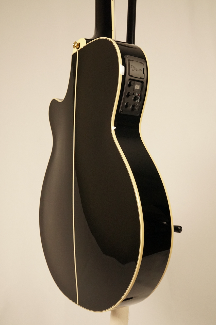 Takamine TSP100 KT-N #63050322【限定10本】（新品）【楽器検索