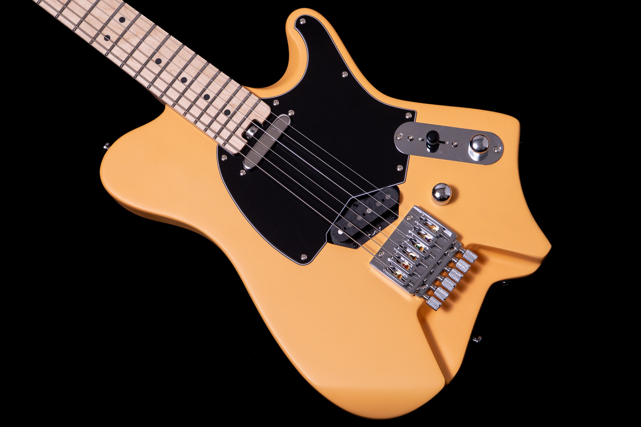 HEX Guitars NT100M S/BSC（新品/送料無料）【楽器検索デジマート】