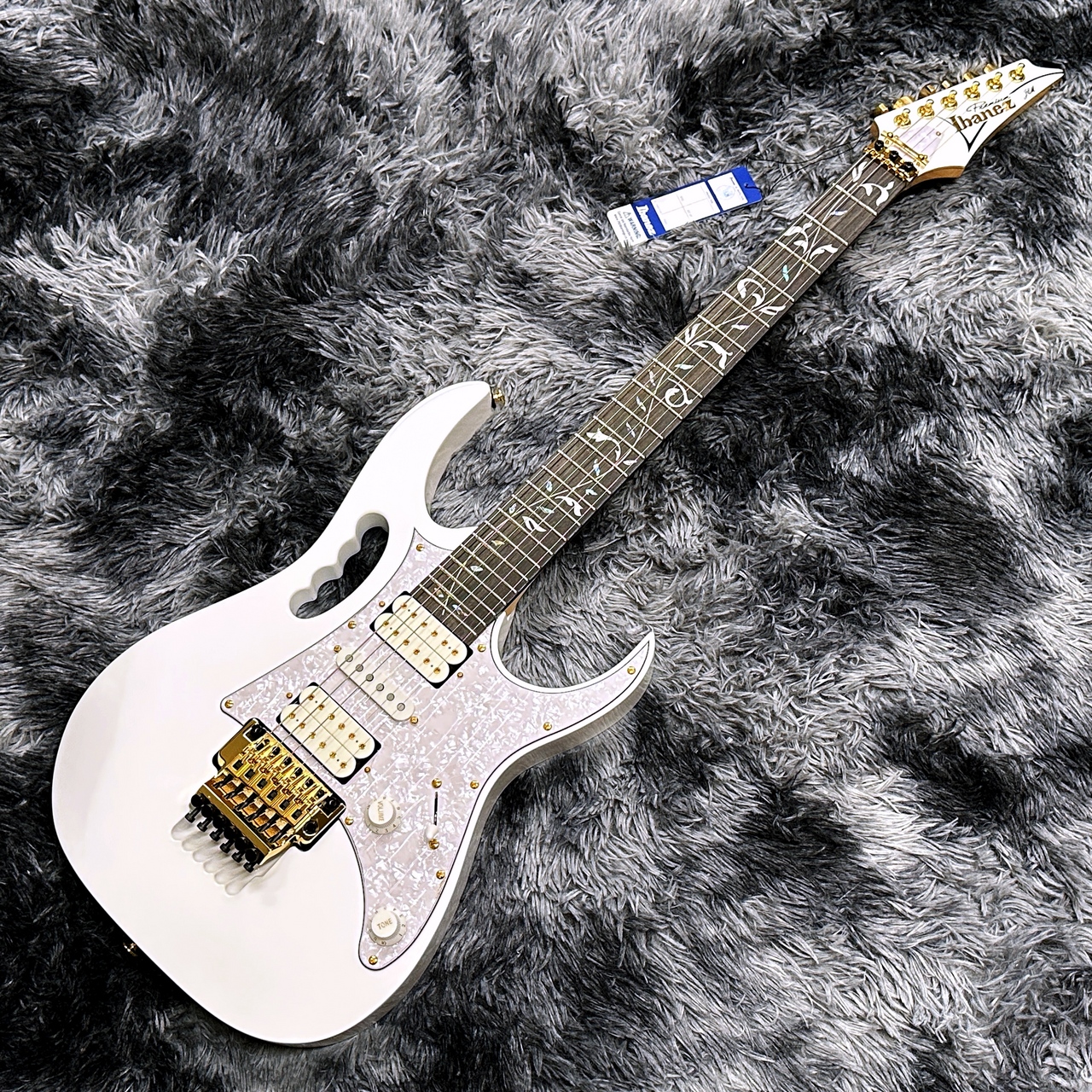スティーヴ・ヴァイ Steve Vai ギターピック Steve Vai