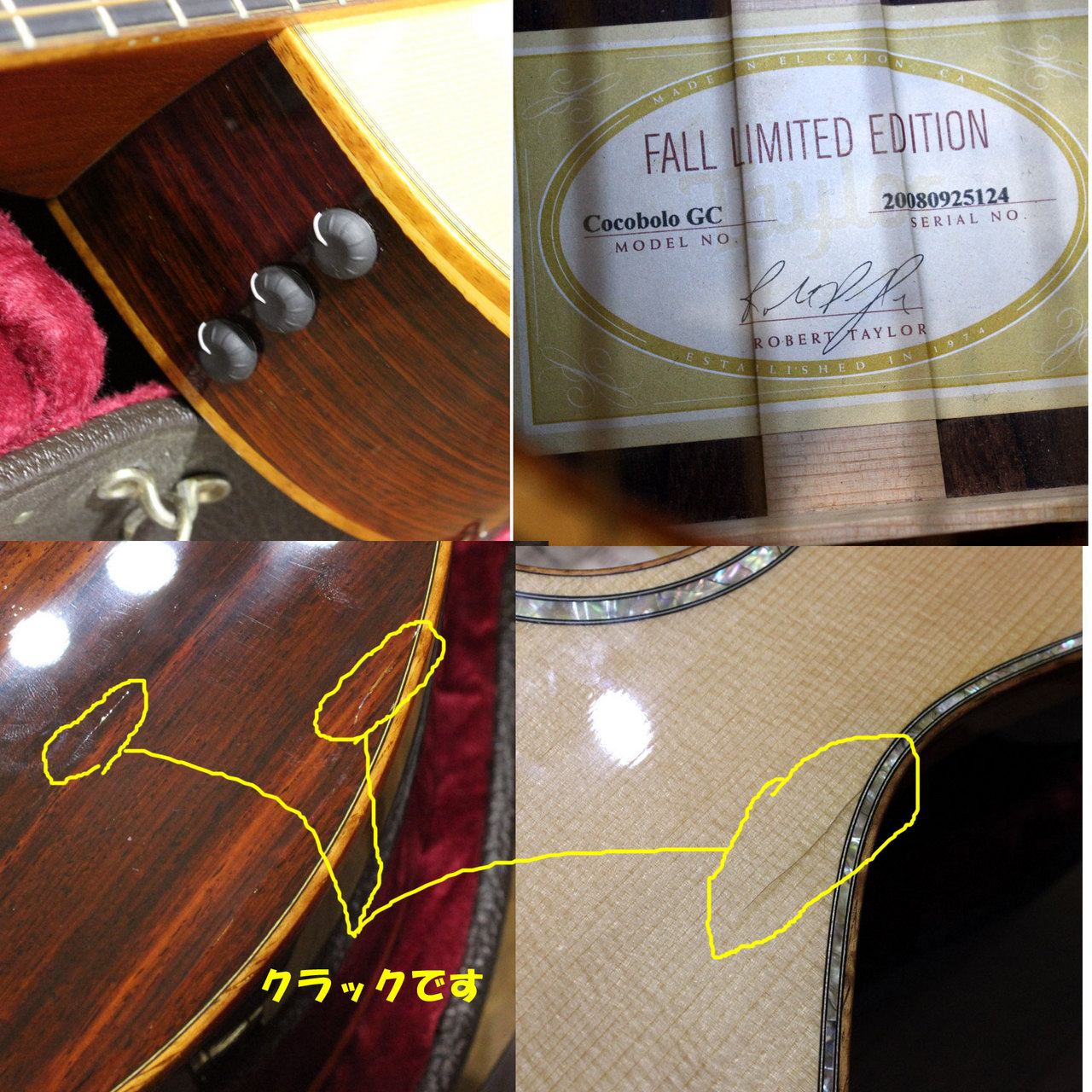 Taylor Fall Limited Edition Cocobolo GC LTD GCE-C テイラー フォールリミテッド ココボロ 2008 年製です（中古）【楽器検索デジマート】