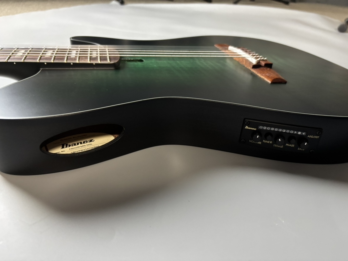 Ibanez FRH20FMN エレガットギター（新品/送料無料）【楽器検索
