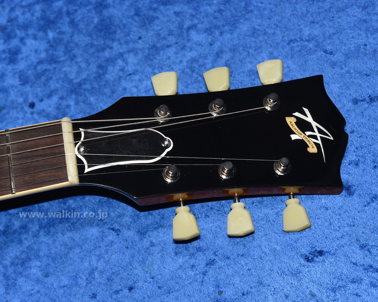 Archtop Tribute AT135STP（新品）【楽器検索デジマート】