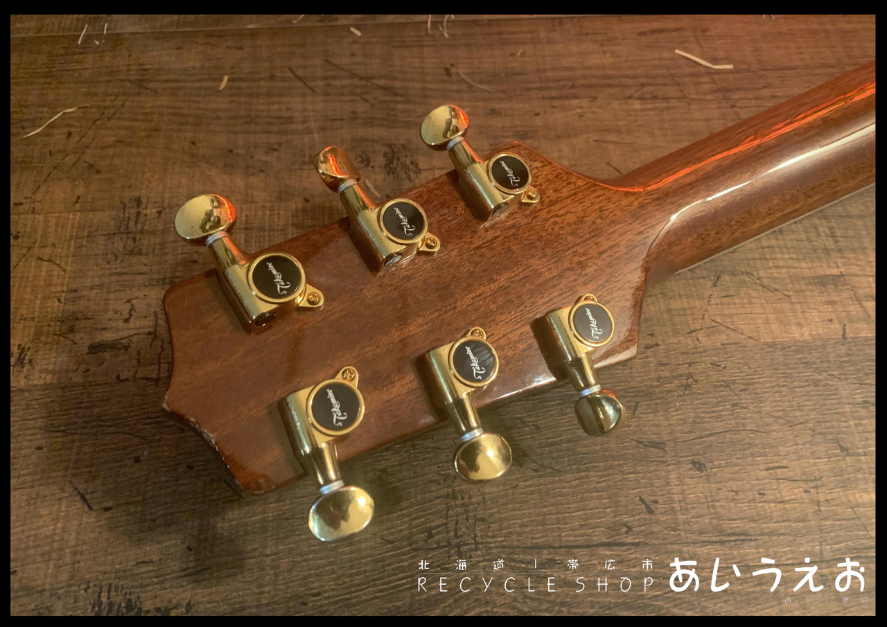 Takamine NPT-110（中古）【楽器検索デジマート】