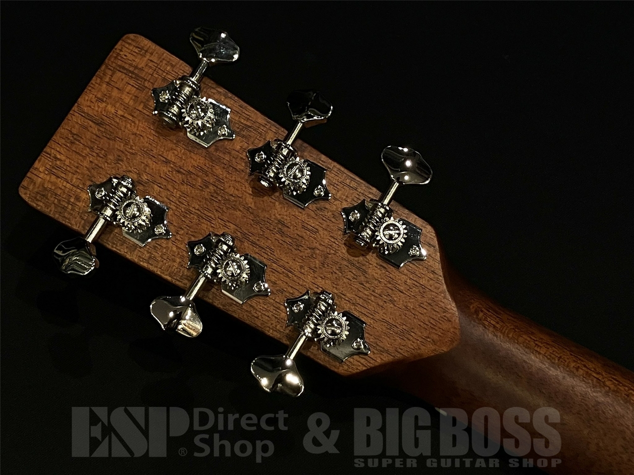 Eastman E1-OM-DLX / Golden Burst（新品/送料無料）【楽器検索