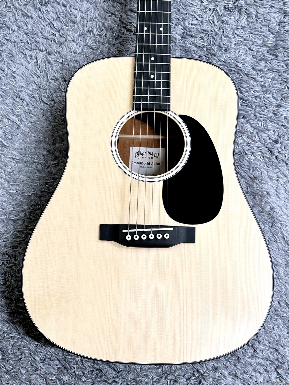 Dreadnought Junior DJR-10E-02 エレアコ仕様