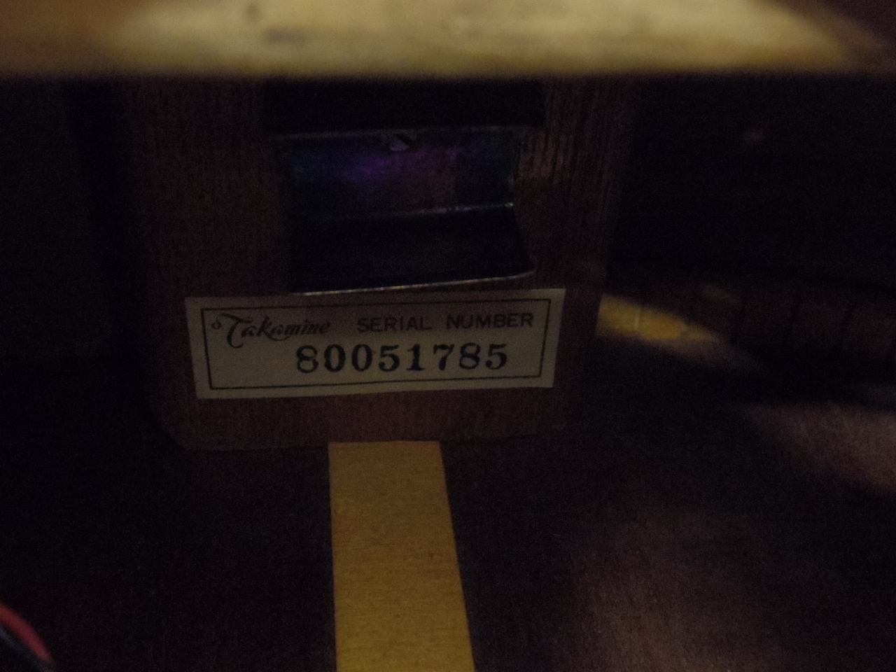 Takamine PT-05E（ビンテージ）【楽器検索デジマート】