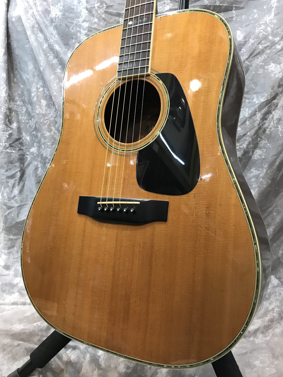 Morris MORRIS TF-801 アコースティックギター ハードケース付 Morris TF-801（中古）【楽器検索デジマート】