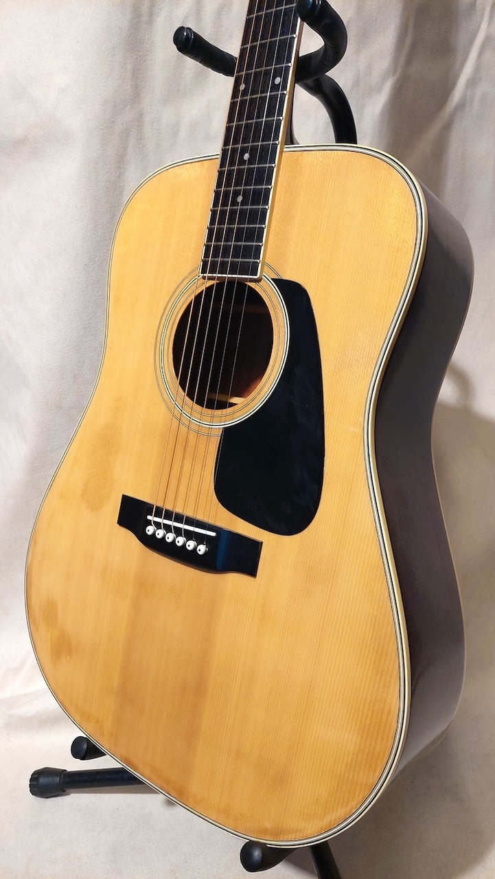 【美品】モーリス Morris アコースティックギター　MD-505 楽天市場】【送料無料】Morris / MD-505【中古】【楽器/ｱｺｷﾞ