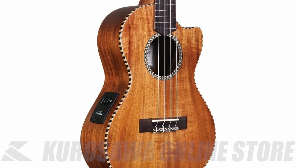 Cordoba 25T-CE（新品）【楽器検索デジマート】