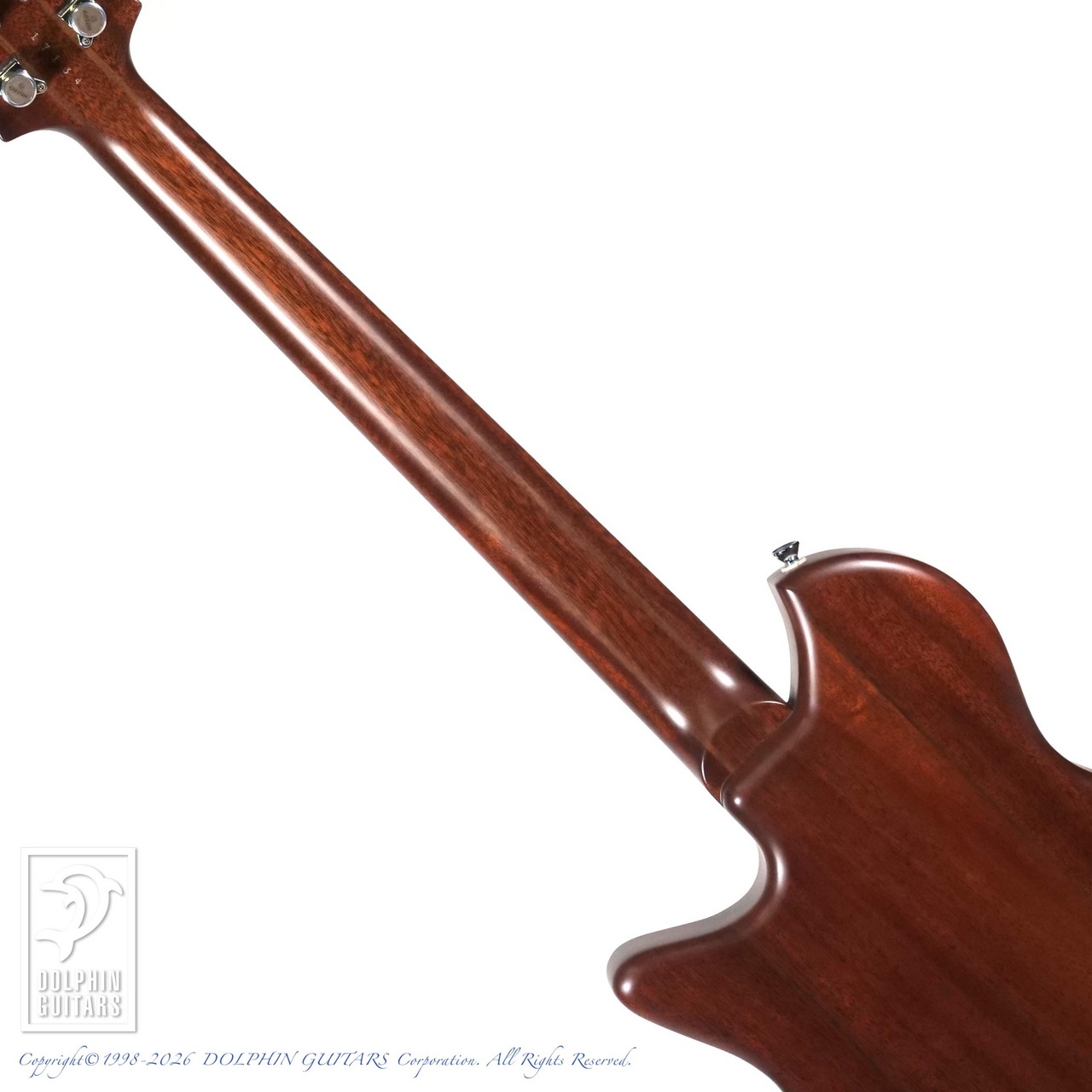 dragonfly Maroon FT 648 (Matte Natural)（中古）【楽器検索デジマート】