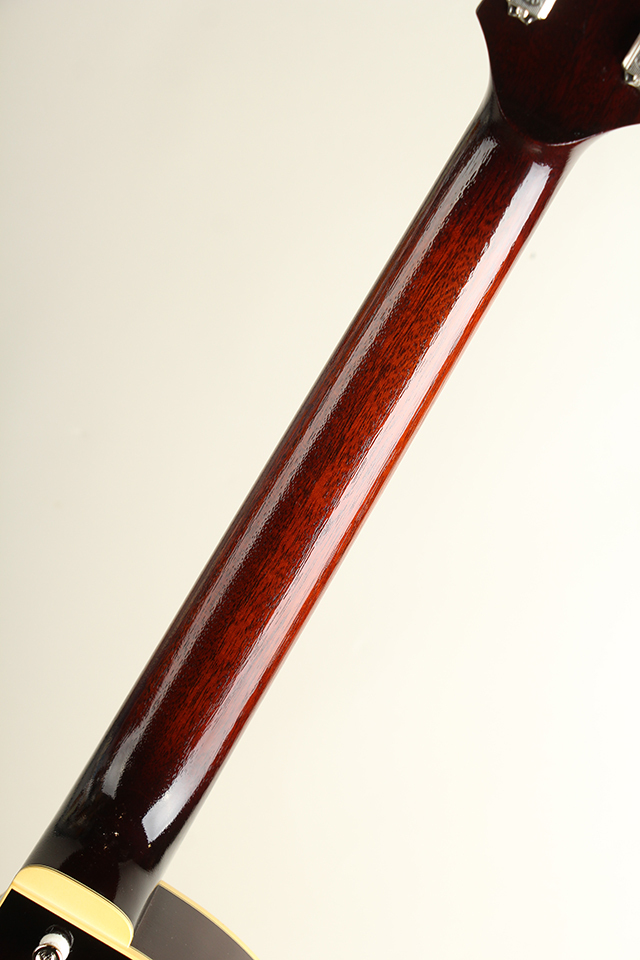 Rozeo Ladybug MIK-CTM SM-C CC / Tobacco Sunburst 【S/N:RZO842