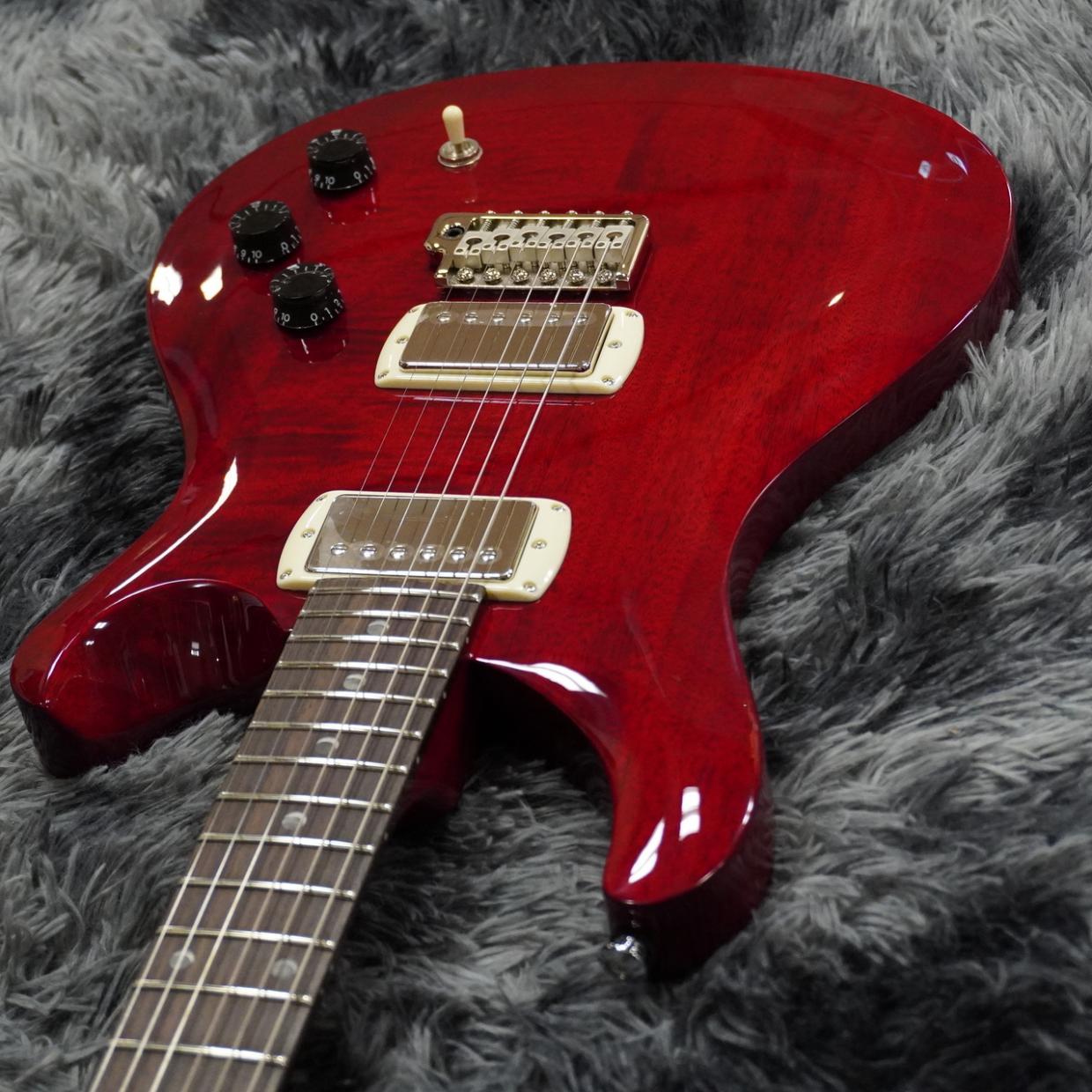 Paul Reed Smith(PRS) SE DGT Standard Vintage Cherry（新品/送料無料