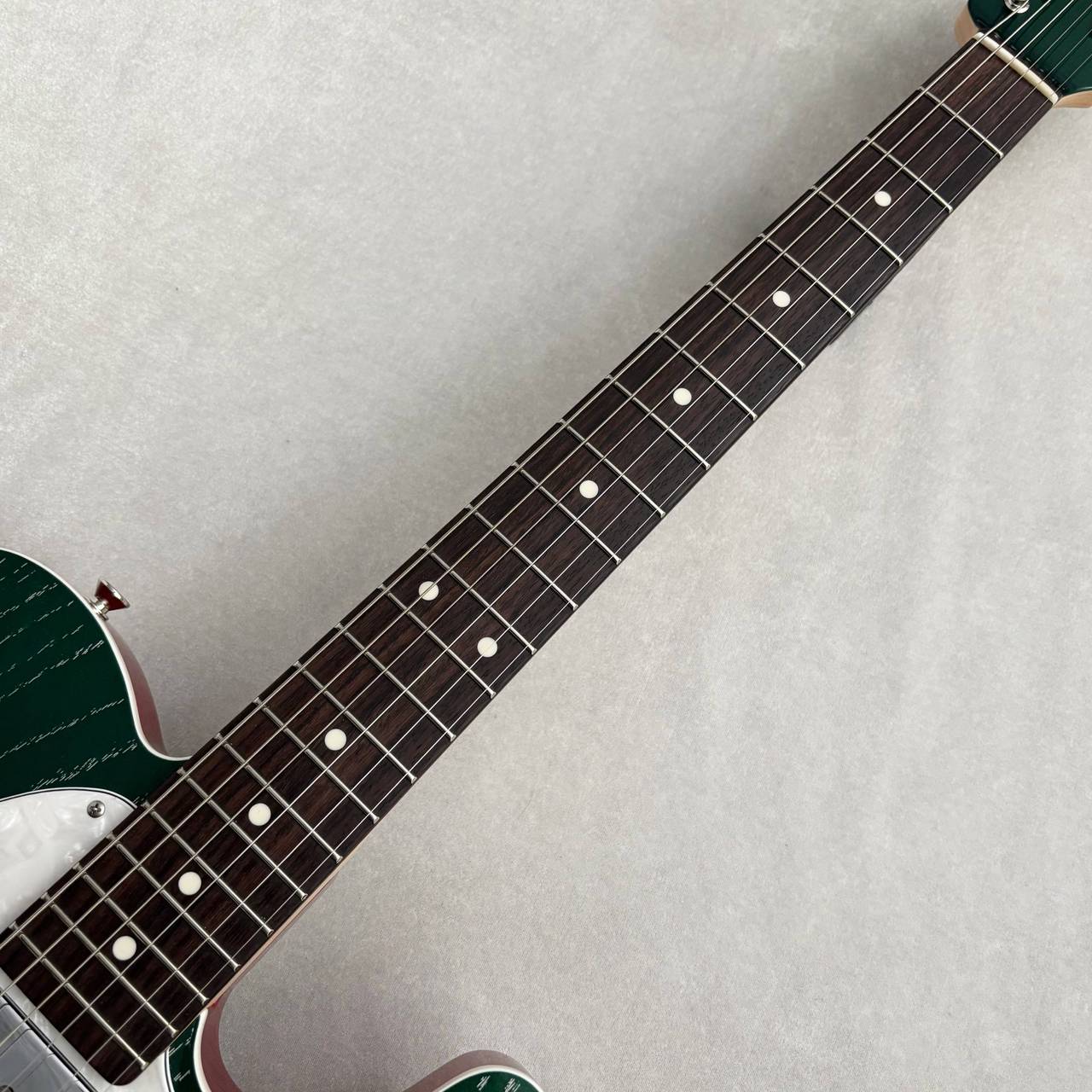 テラリウム ネプチュニアン グランデ リザーブ デイト オートマティック