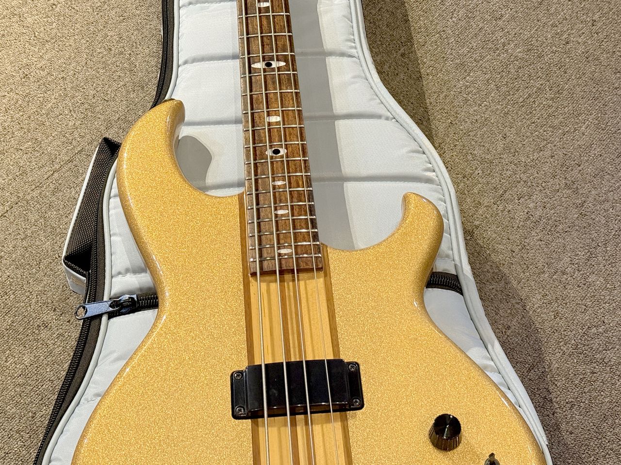 Aria Pro II SB-R60 エレキベース ソフトケース付き Aria Pro II SB-R60 GY（ビンテージ）【楽器検索デジマート】