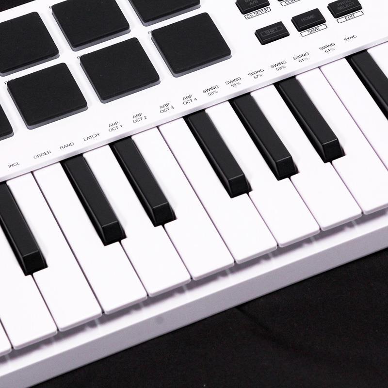 AKAI USED 中古 MPK Mini Plus White (アカイ)(MIDIキーボード)(37鍵