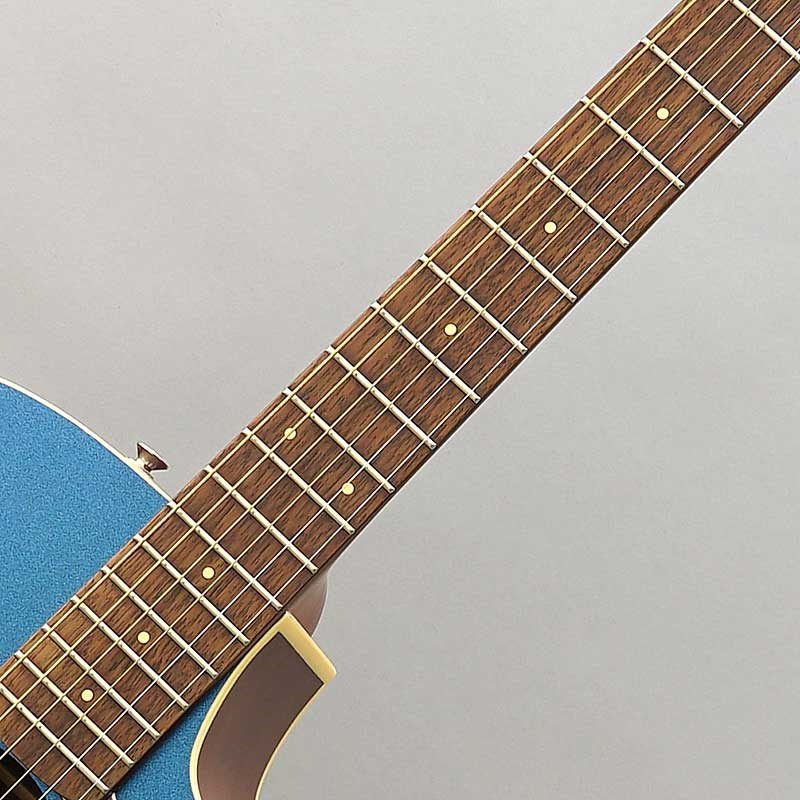 Fender Acoustics 【数量限定特価】Fender Redondo Player (Lake