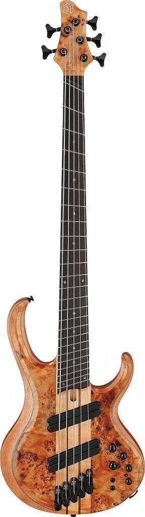 Ibanez BTB805MS-FNL (Florid Natural Low Gloss) アイバニーズ エレキ 