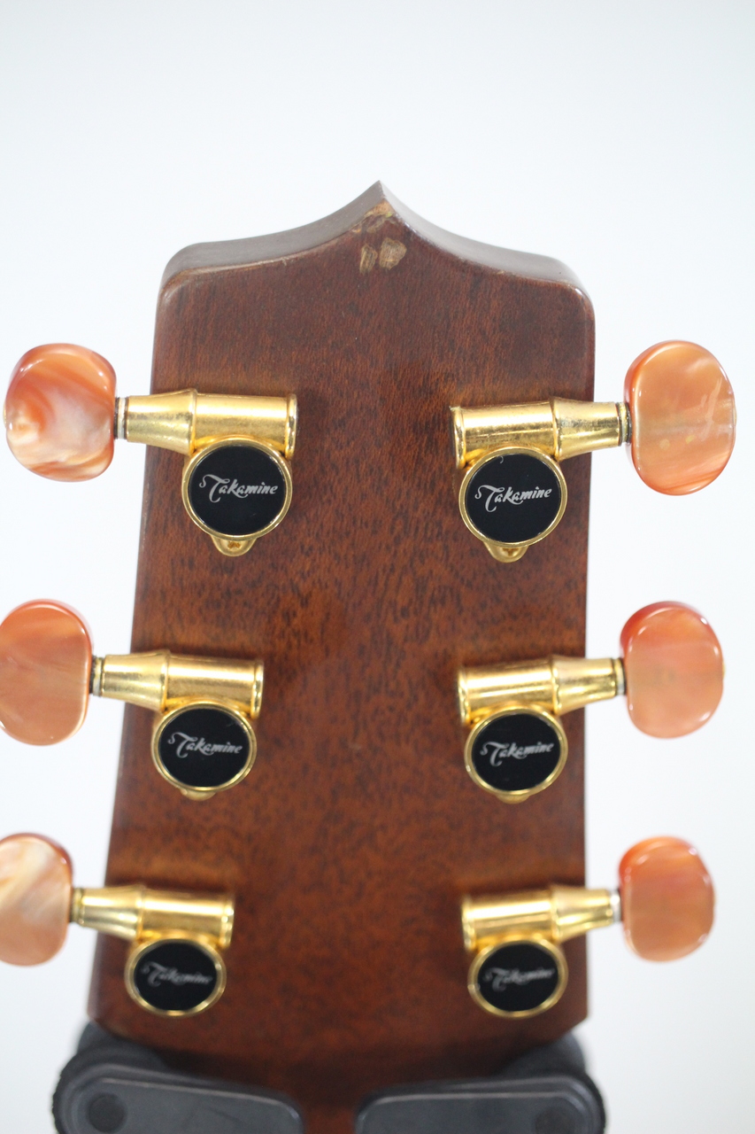 Takamine NPT-012（中古）【楽器検索デジマート】