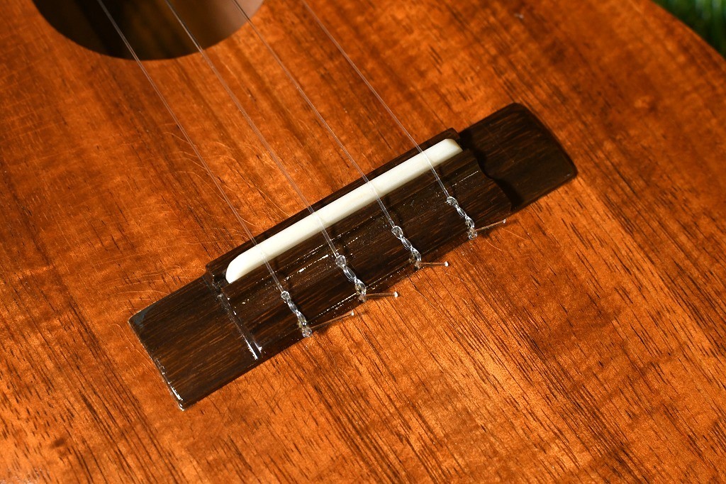 G String G String CONCERT HawaiianKoa【USED/#MB61046】（中古