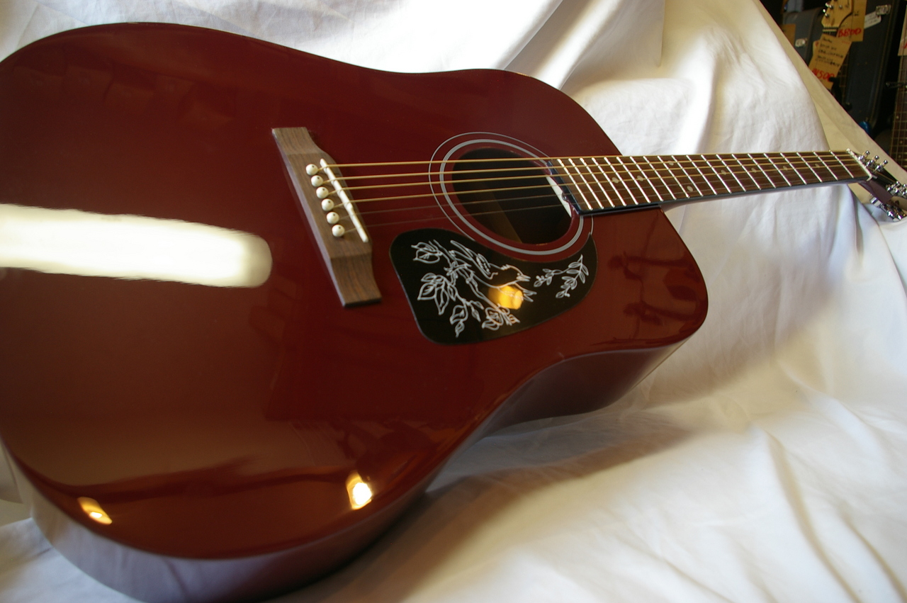 Epiphone Starling Wine Red 【現物商品掲載】（B級特価）【楽器検索