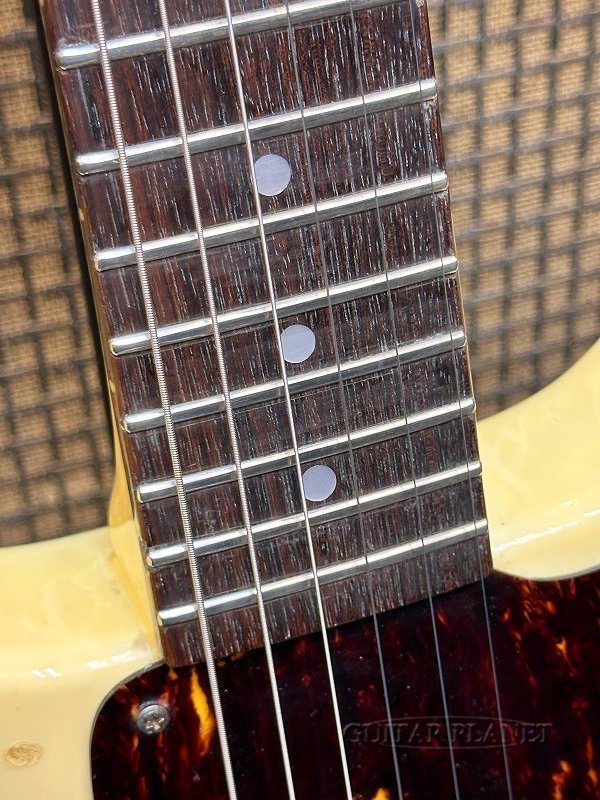 Greco EJR59-50D -WH(White)- 1987年製【Mint Collection