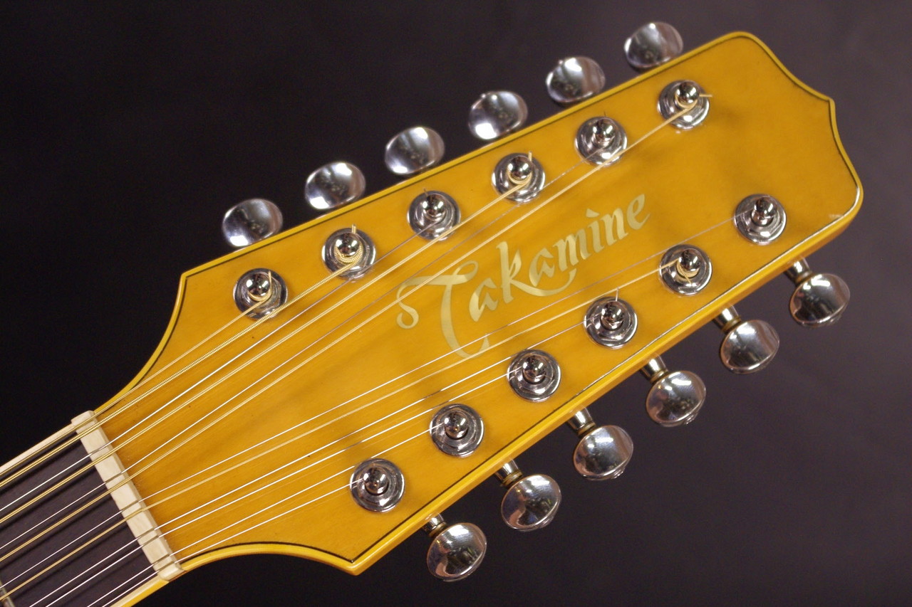 Takamine NPT 12 Strings（中古）【楽器検索デジマート】
