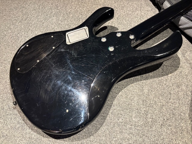 ESP bottom line ボトムライン 改造 カスタム　ケース付 ESP bottom line ボトムライン 改造 カスタム ケース付 ESP