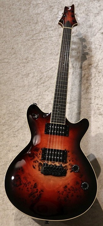T's Guitars Arc-STD 22 Nether Red【3.43kg】【担当選定の極杢