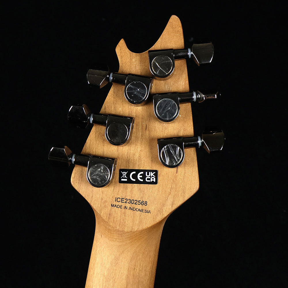 EVH Wolfgang WG Standard QM Northern light ウルフギャング（新品