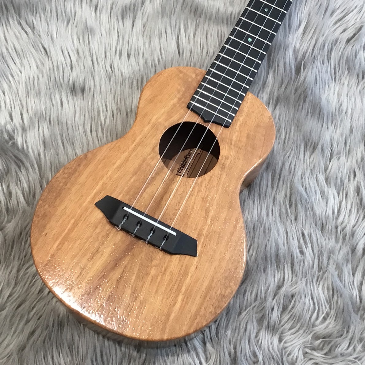 早く買おTN0405-71 2771 器 ウクレレ ジーストリング GString UKlele　Halawa Valley Hawaii 弦器 足跡 ソフトケース付き 本体 本体