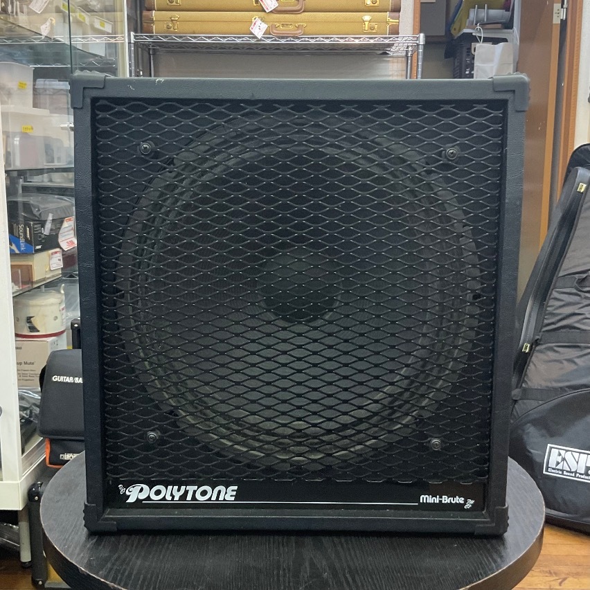 Polytone mini brute iii（中古）【楽器検索デジマート】