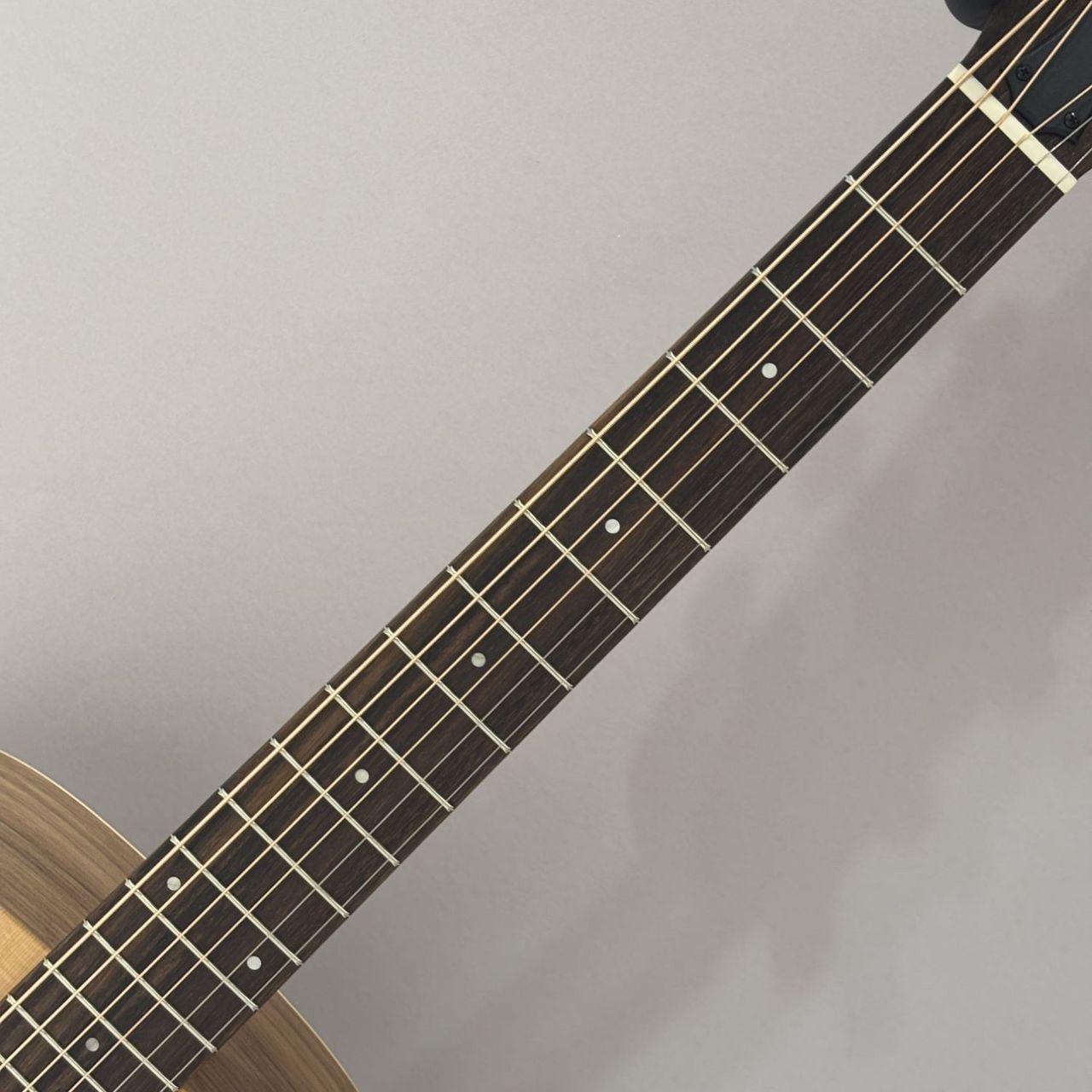 Taylor Academy 12e Walnut エレアコ ピックアップ搭載