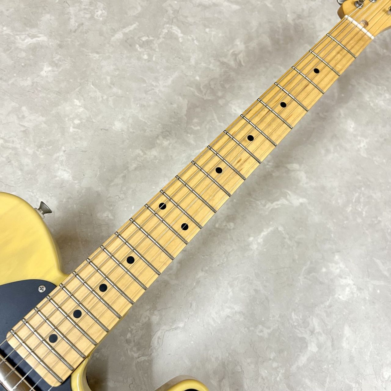 FUJIGEN(FGN) NTL10MAH【中古】【現物画像】【3.80kg】（中古/送料無料