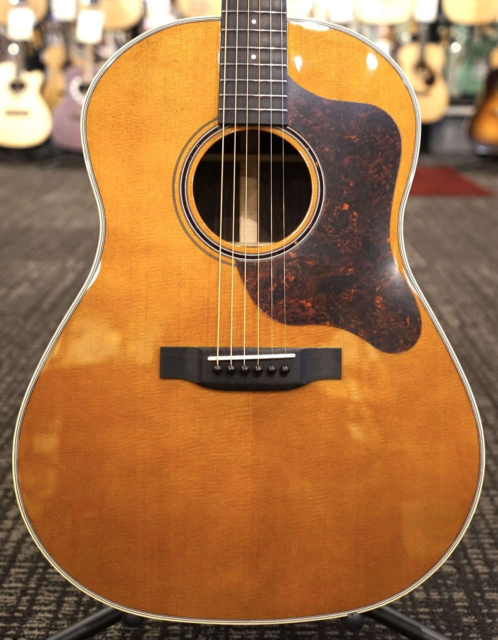 フェンダー　ソノラン　沢尻エリカ 美品❣️Fenderソノラン単板トップ限定カラー❣️雨音薫（沢尻エリカ