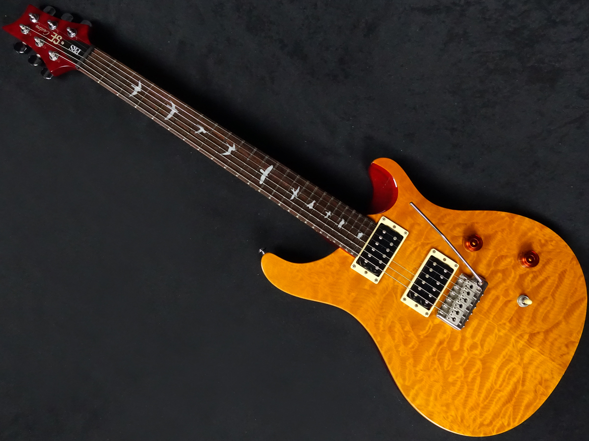 Paul Reed Smith(PRS) 25th Anniversary SE Custom 24 Vintage