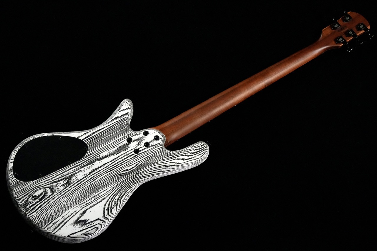 Spector NS Pulse 5 Japan Exclusive /White Black Fill（新品特価
