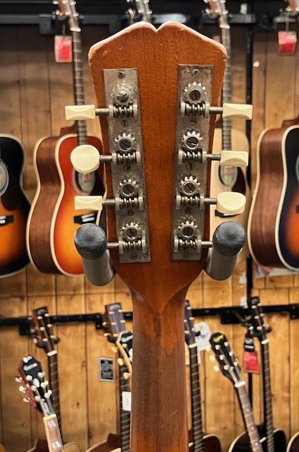 TOKAI トーカイ　バンジョー　レトロ　マンドリン Amazon | ゴールドトーンマンドリンバンジョー。 | マンドリン | 楽器