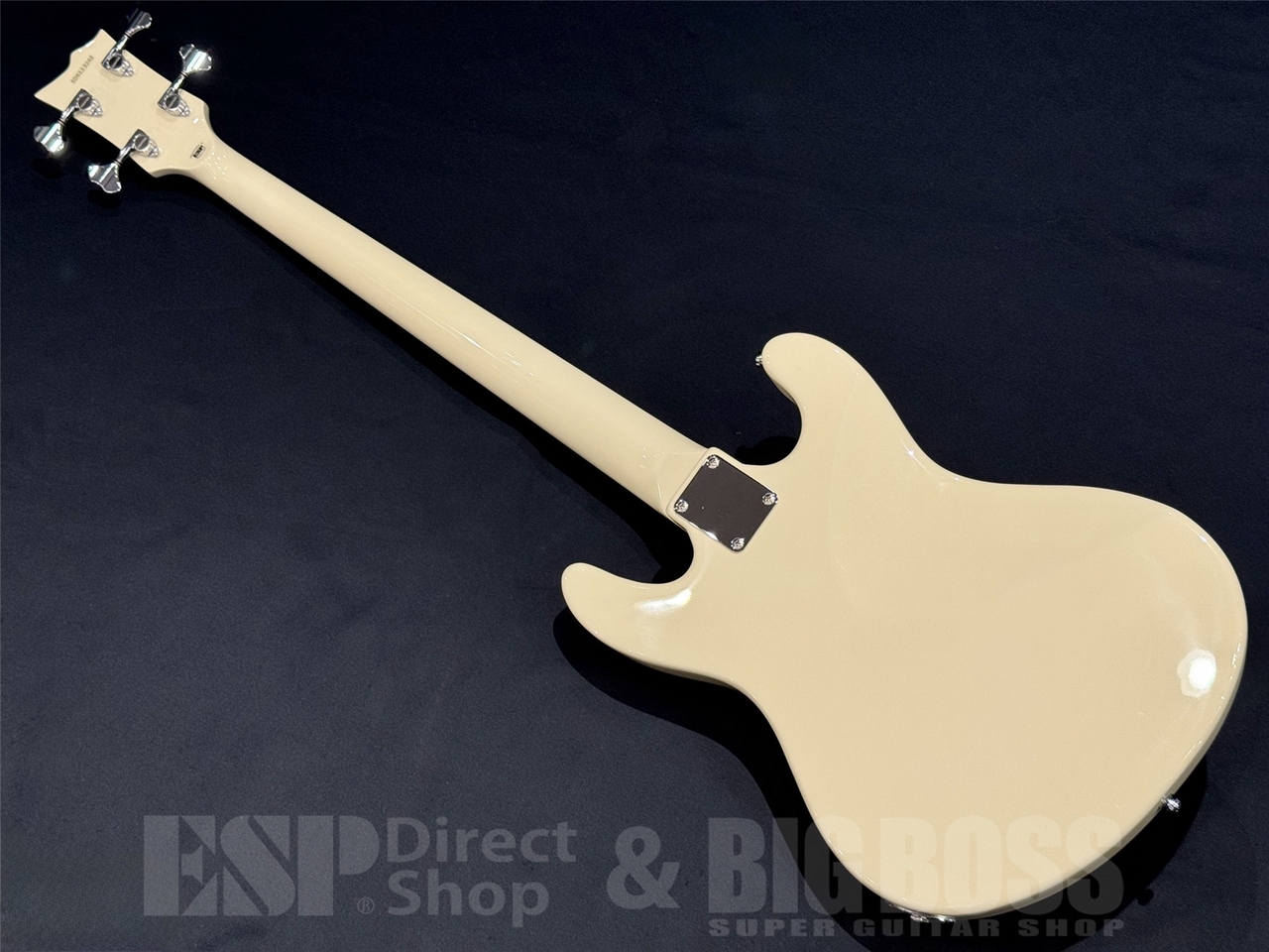 EDWARDS E-Lynn / White（新品/送料無料）【楽器検索デジマート】