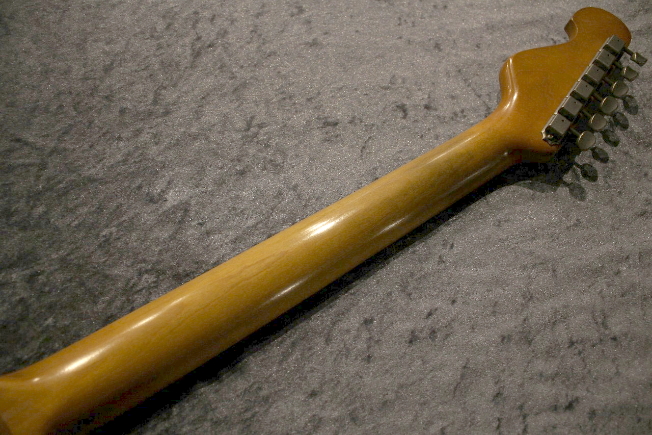 LAKEGUITARビンテージギター L-55 Custom Jacaranda / 1981: アコースティックギター｜三木楽器公式