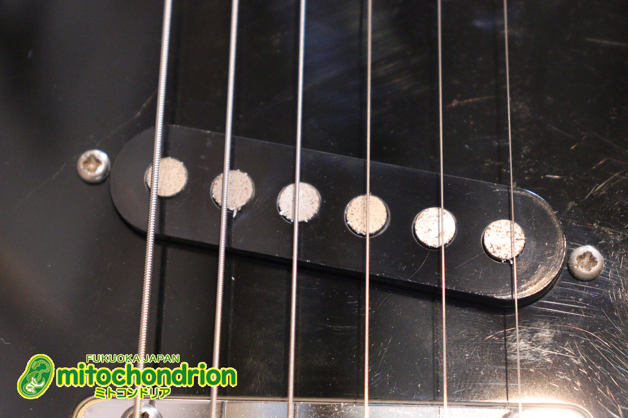 ギター Tokai 1983年製 SX38 / Snow White（中古）【楽器検索デジマート】