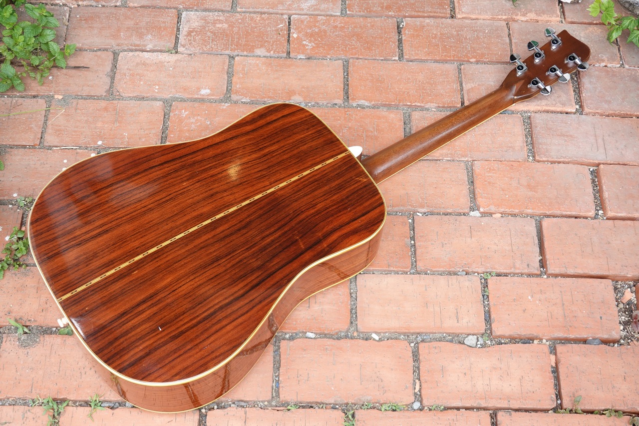 Takamine Elite TW-30（ビンテージ）【楽器検索デジマート】